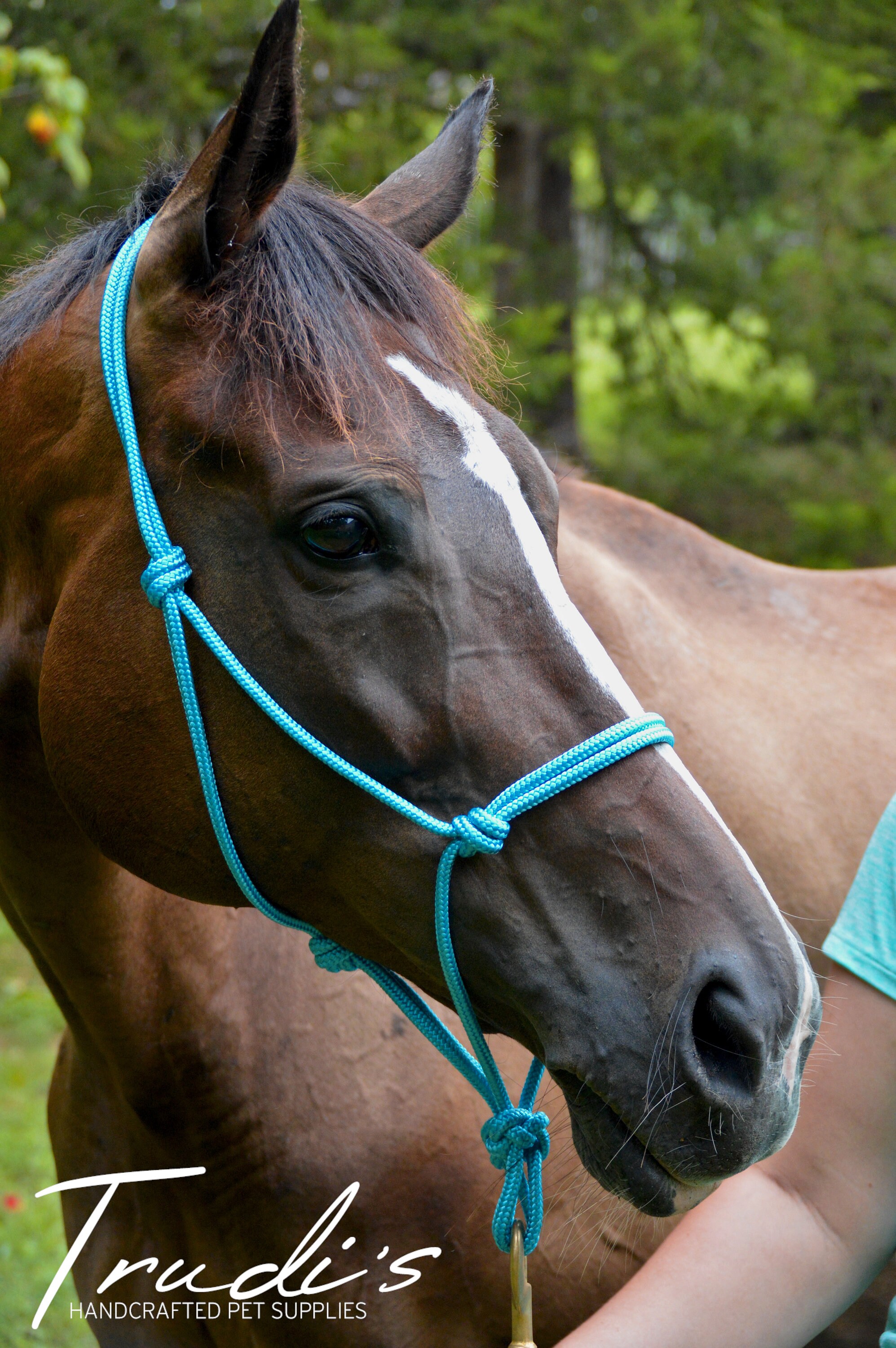 Rope Halter Horse Halter Halter Natural Horsemanship Etsy
