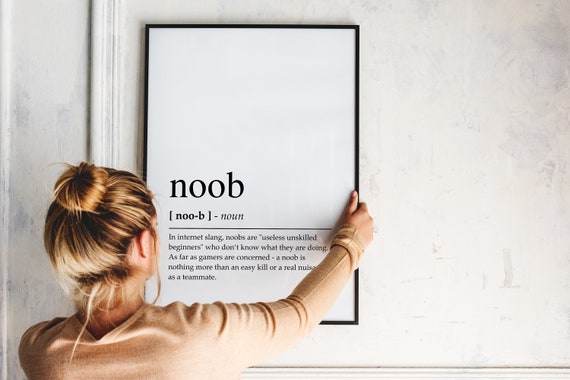 Noob Definition Print Game Room Wall Art Gaming Prints -  Israel