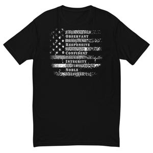 Correction Officer T-Shirt, Corrections Gift, Correctional Officer shirt, Thin Silver Line