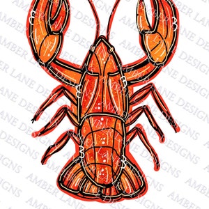Mardi Gras Crawfish doodle, png file