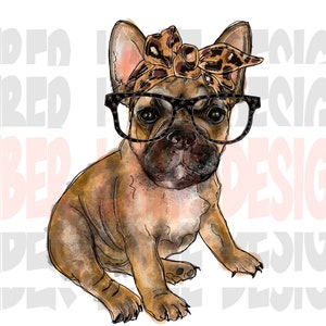 Leopard frenchie sale