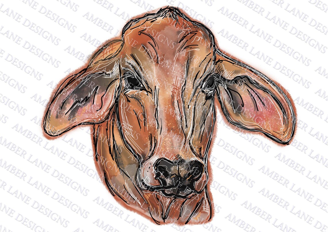 Red Brahman Cow Hand Drawn Watercolor Sublimation PNG. - Etsy