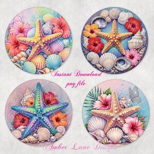Bundel met ronde zeesterren en zeeschelpen, geschikt voor 4,25 x 4,25 inch. Vier png-bestanden