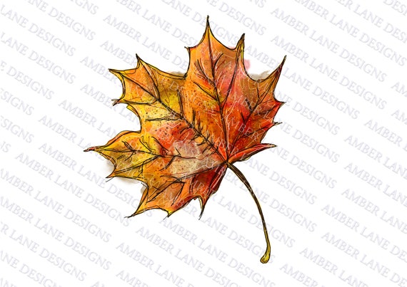 Maple Leaf Png File ,watercolor Autumn Leaf . Sublimation Graphics, Fall  Colors - Etsy