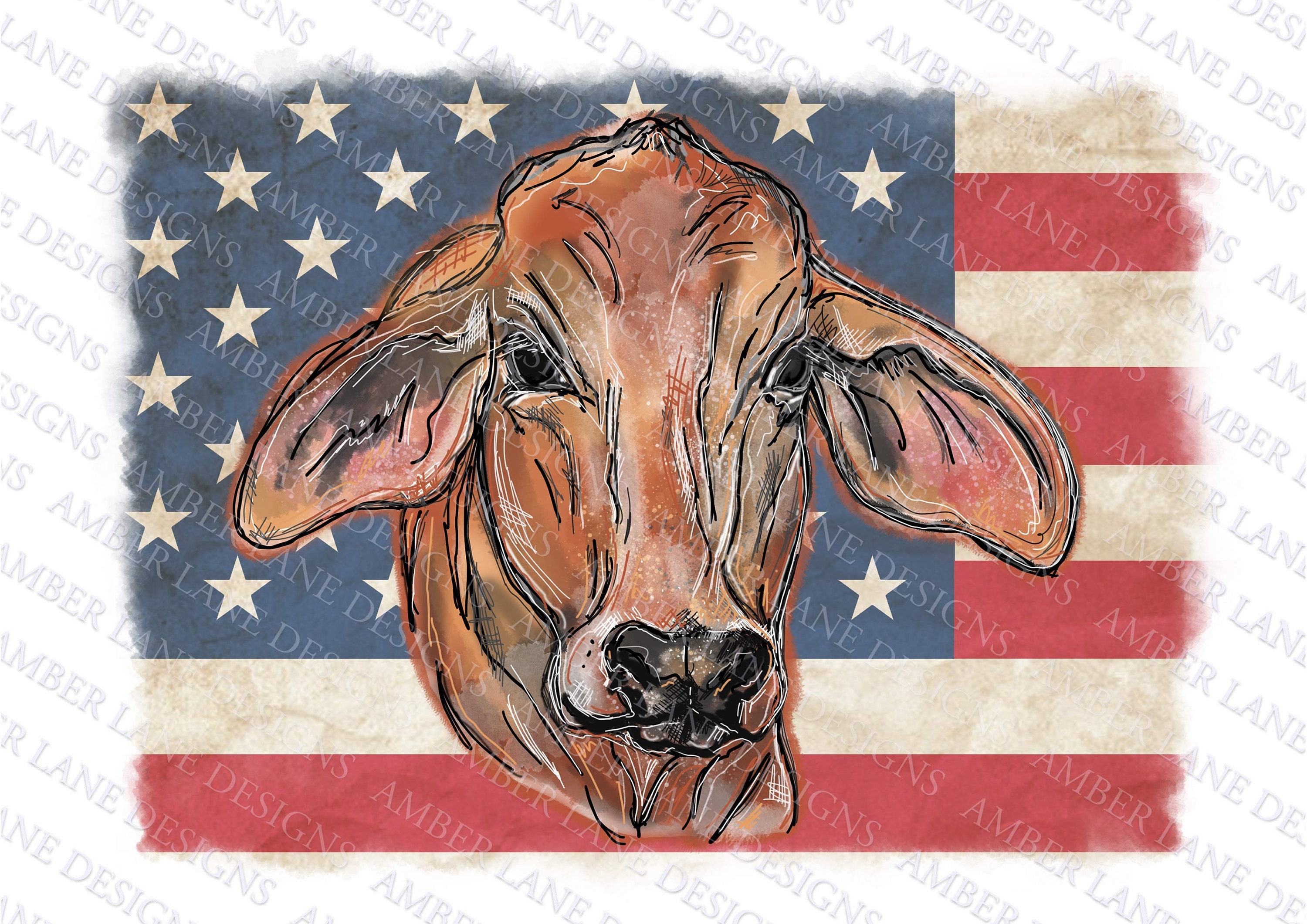 Red Brahman Cow