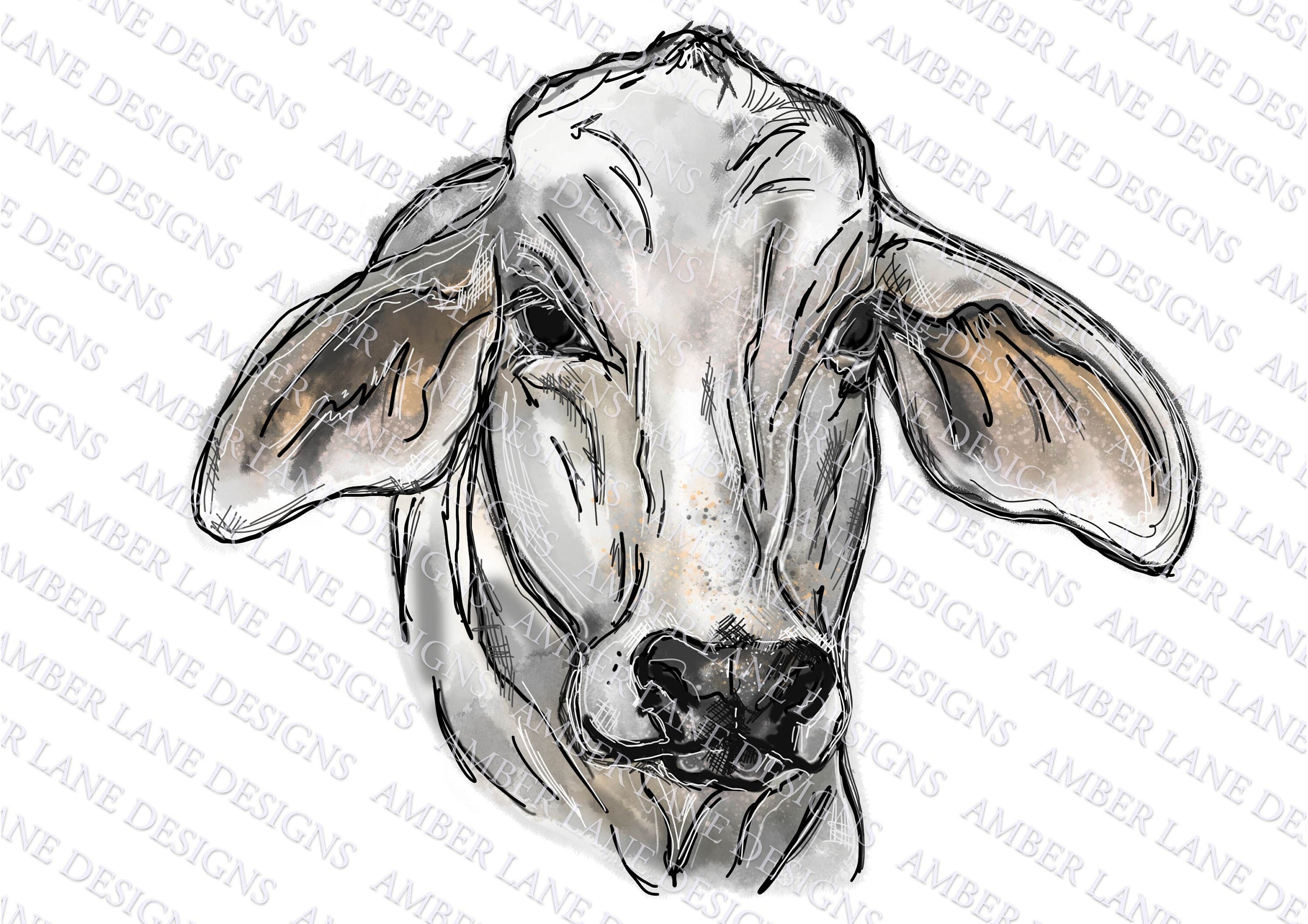 Brahma Bull Logo PNG Vector (CDR) Free Download