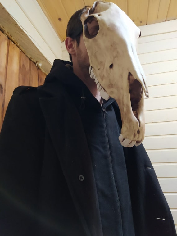 Horse skull mask Realistic Replica Horror style undead Etsy