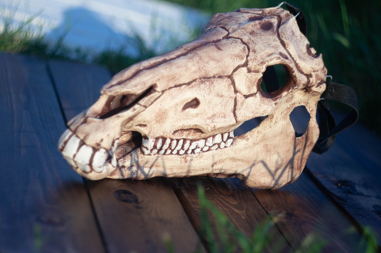 Horse with jaw skull mask Realist Halloween Costume Horror Etsy