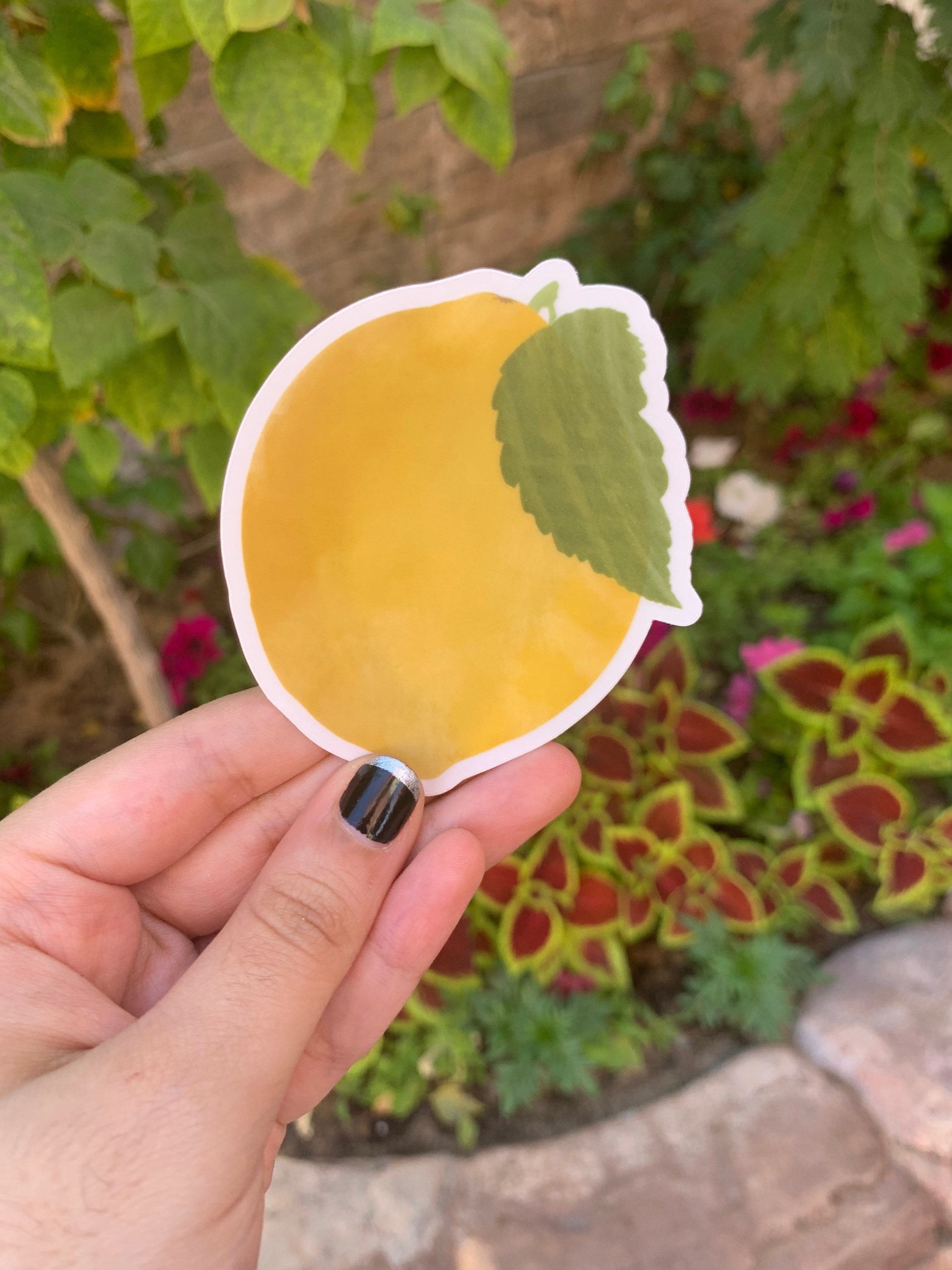 Whole lemon sticker Etsy