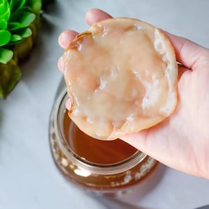 Kombucha SCOBY Starter Culture | Free Shipping | Live Probiotic Fermentation | Tea | Kefier | Organic | Healthy Drink | Home Brewing | Beer