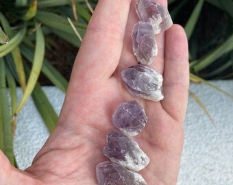 Little Amethyst Dragon Tooth Teeth