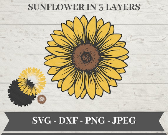 Free Free Sunflower Vine Svg 205 SVG PNG EPS DXF File