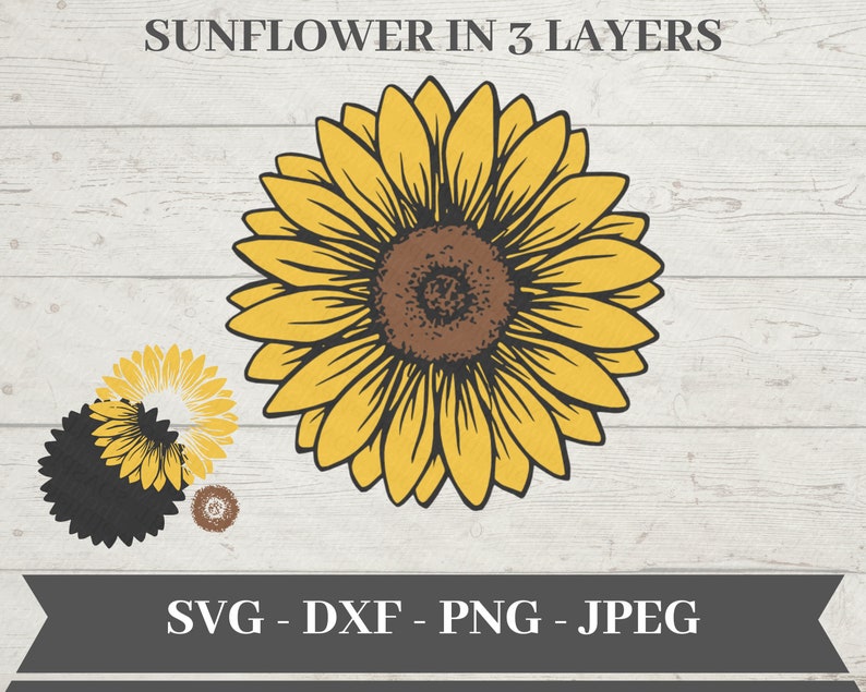 Download Sunflower SVG Svg File for Cricut Png Clipart | Etsy