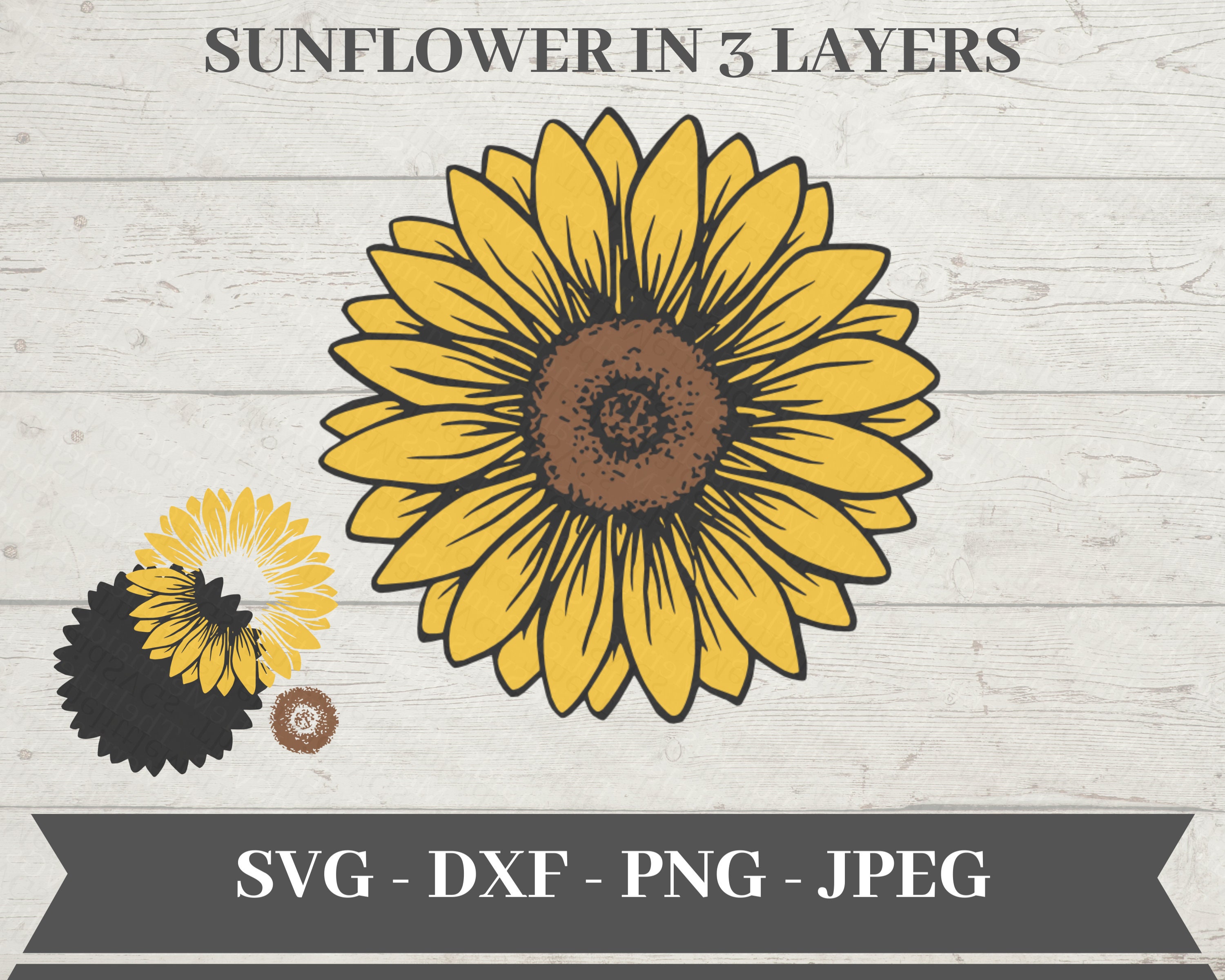 Sunflower SVG Svg File for Cricut Png Clipart - Etsy
