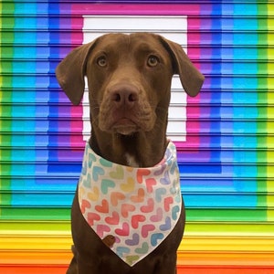Love Wins Reversible Dog Bandana, Tie and Snap image 9