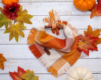 Pumpkin - Dog Bandana, Frayed Edge, Tie and Snap