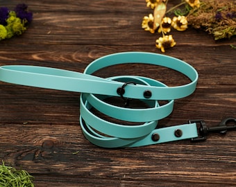 Peut inclure: Une laisse pour chien bleu clair avec des accessoires en métal noir. La laisse est enroulée sur une surface en bois.