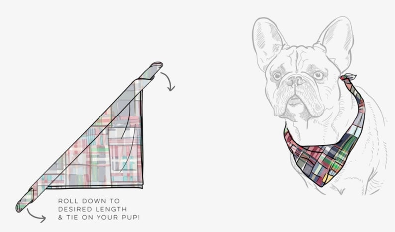 Love Wins Reversible Dog Bandana, Tie and Snap image 10