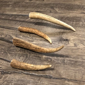 Elk antler tip roasting sticks