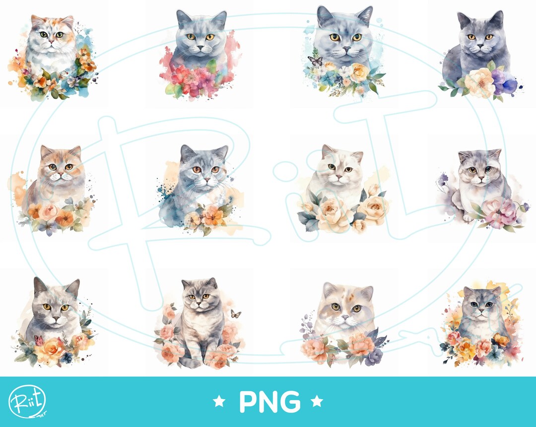 Cute Cat With Floral Watercolor 12 PNG - Etsy