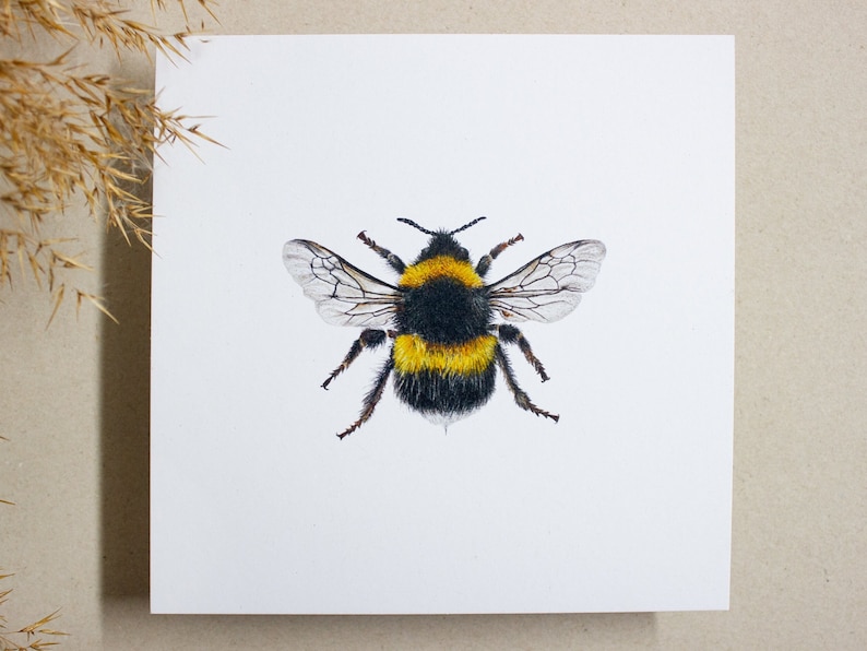 Postcard bumblebee square Card Bee environmentally friendly image 2
