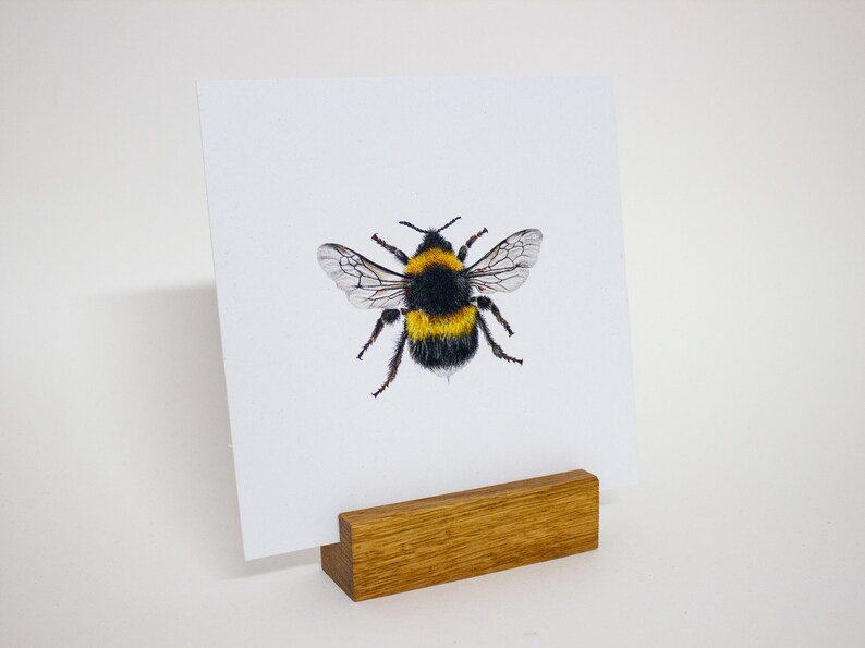 Postcard bumblebee square Card Bee environmentally friendly image 6