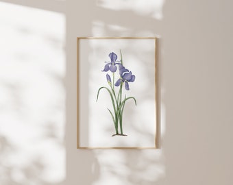 Iris Art Print DIN A4 Poster | Art print flowers | iris