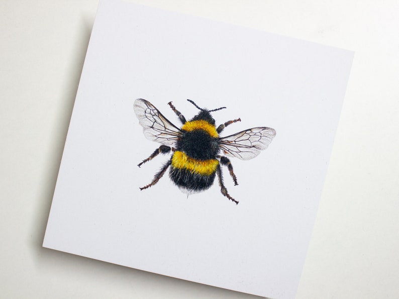 Postcard bumblebee square Card Bee environmentally friendly Karte ohne Umschlag