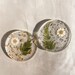 Daisy Floral Coasters | Resin Coasters | Drinkware | Dried Pressed Flowers with Flakes | Home and Kitchen Decor