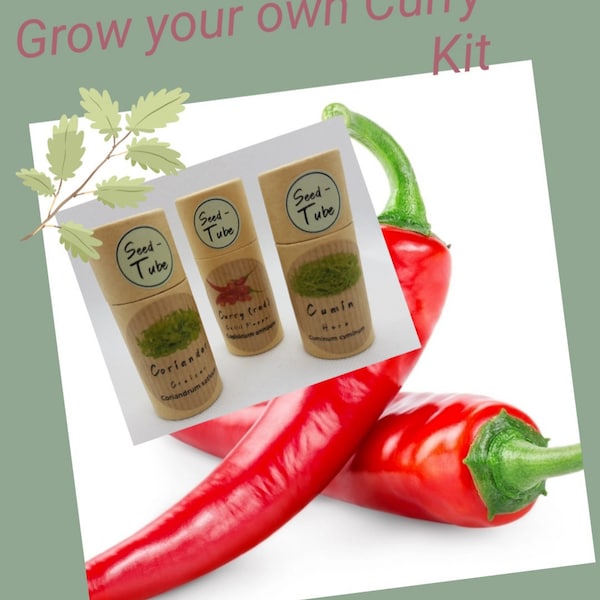 Grow Your Own Curry Herb & Spice Kit