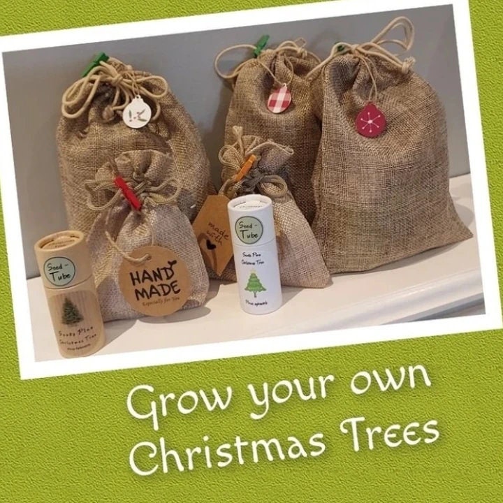 Grow Your Own Christmas Tree Gift Set for Children With Mini Etsy UK