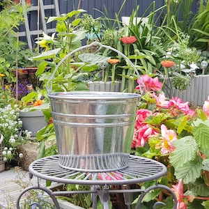 May include: A silver galvanised metal bucket with a wire handle sits on a black metal stand in a garden setting. The bucket is surrounded by green plants and pink flowers.