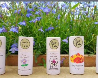 Nasturtium - Tall Single Flowered Mixed Seeds in a Seedlings Tube