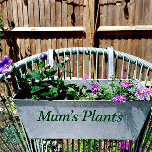 Wildflower Garden Gift Set with seeds