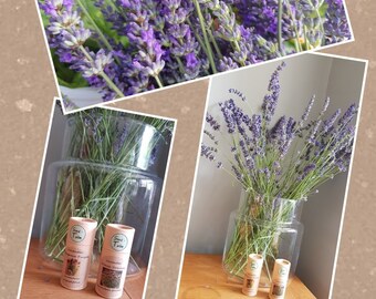 Grow Your Own Lavender - Gift Set