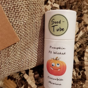 Seedlings Tube