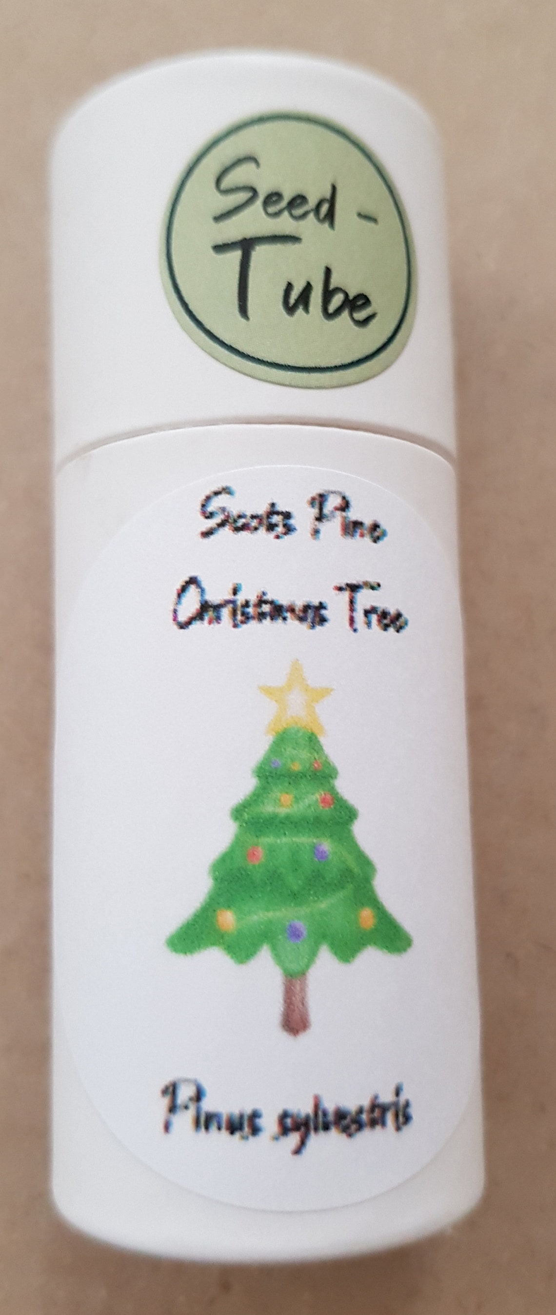 Grow Your Own Christmas Tree Gift Set for Children With Mini Etsy UK