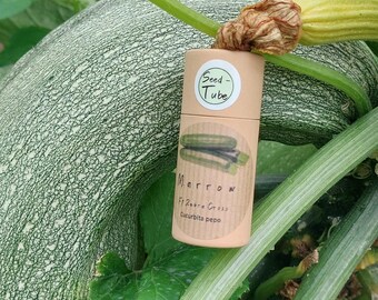 Marrow Seeds