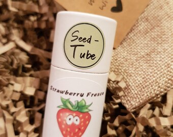 Seedlings Tube - Strawberry