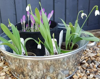 Zinc Tub Round - Planter