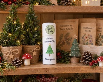 Countdown to Christmas gift