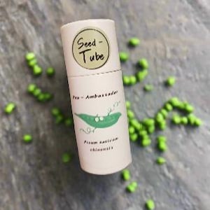 Pea Seeds in a Seedlings Tube