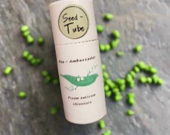 Pea Seeds in a Seedlings Tube