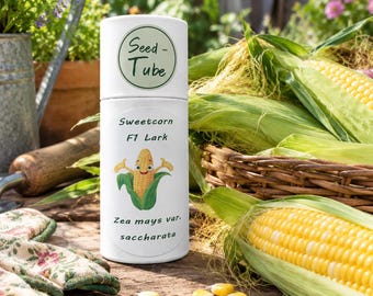 Seedlings Tube - Sweetcorn