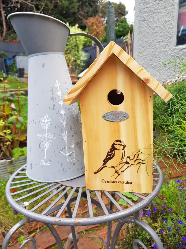 Bird House - Wooden Ranking TOP18 ~ marsh blue Super beauty product restock quality top! tit crested tits