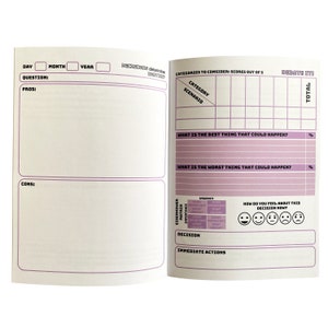 May include: A pink and white decision-making journal with sections for day, month, year, question, pros, cons, categories to consider, debate, what is the best thing that could happen, what is the worst thing that could happen, Eisenhower matrix, urgency, importance, decision, immediate actions, and how do you feel about this decision now. The journal has a grid for scoring categories and a scale for urgency and importance.