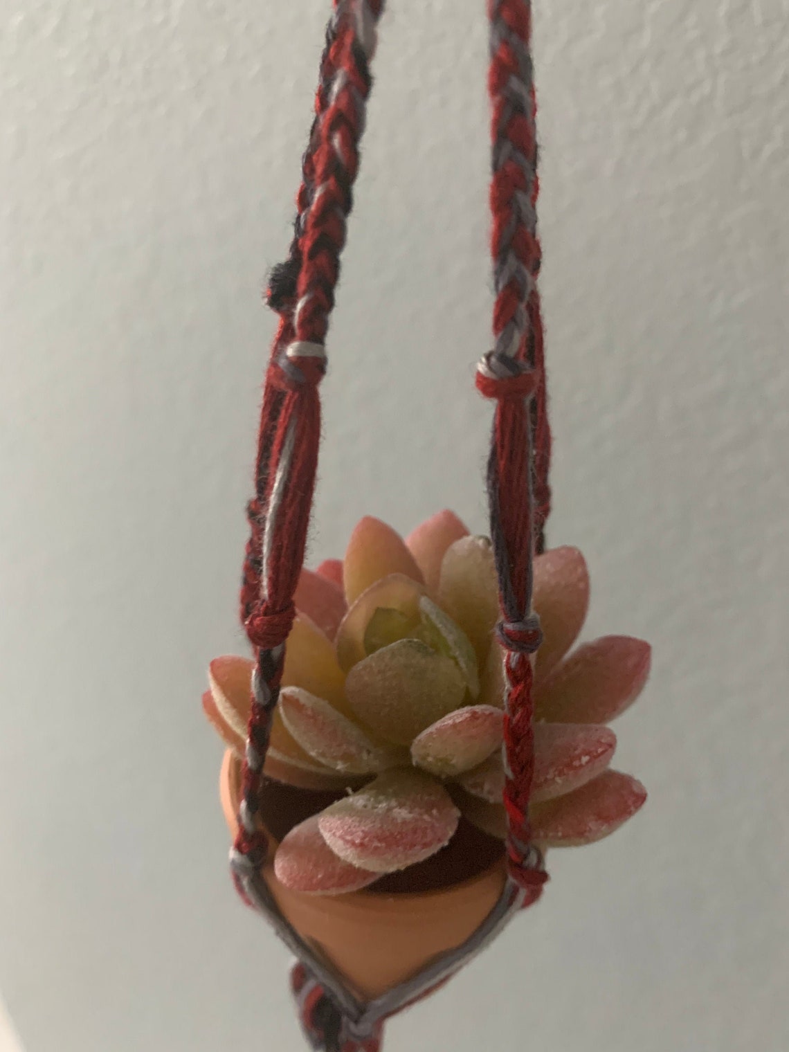 Mini Artificial Hanging Succulents Etsy