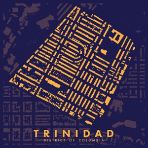 Trinidad Buurt Figuur-Ground Poster