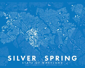 Silver Spring Figure-Ground Poster