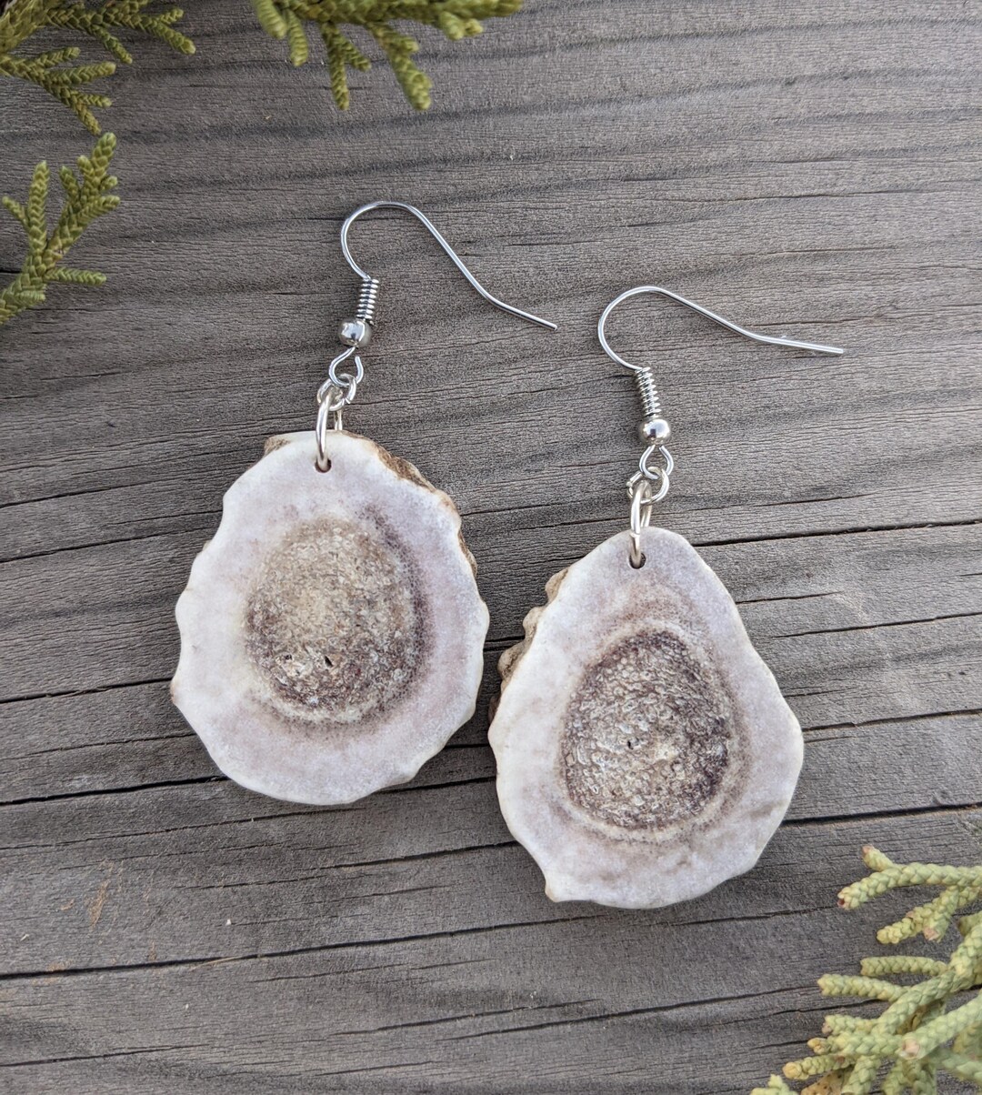 Deer Antler rondelles with Az turq Earrings main image 0